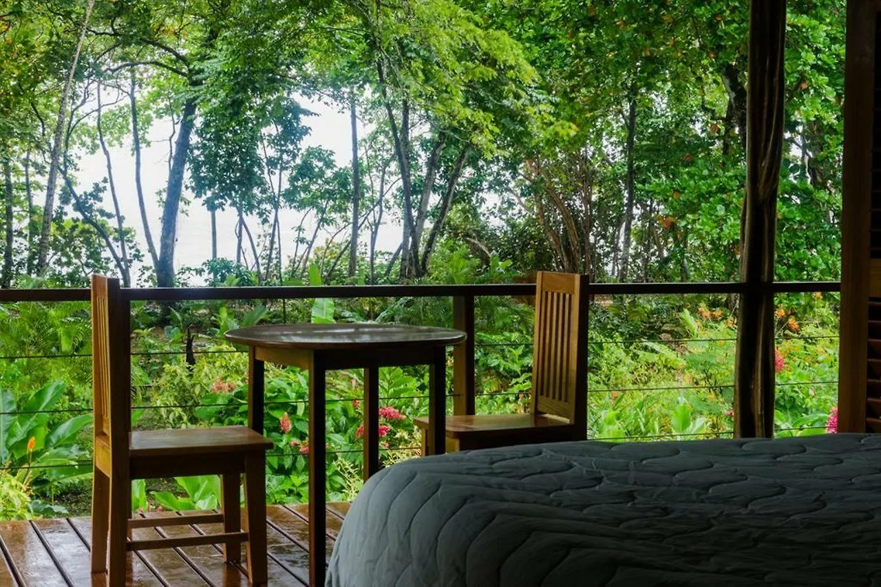 *** Hotel The Royal Hummingbird Resort Negril Jamaica