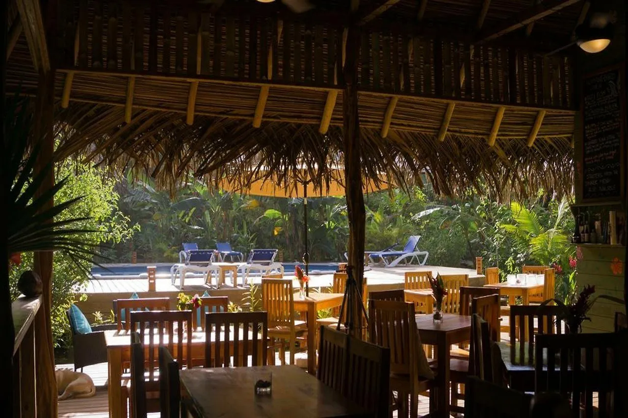 The Royal Hummingbird Resort Negril Hotel