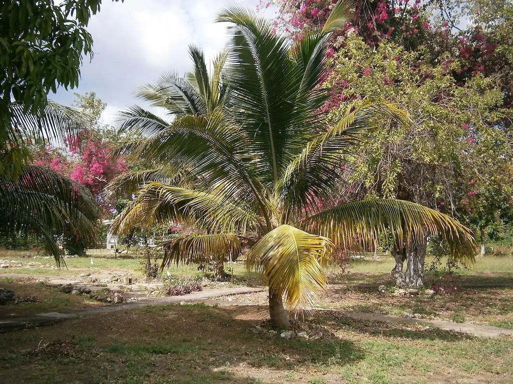The Royal Hummingbird Resort Negril