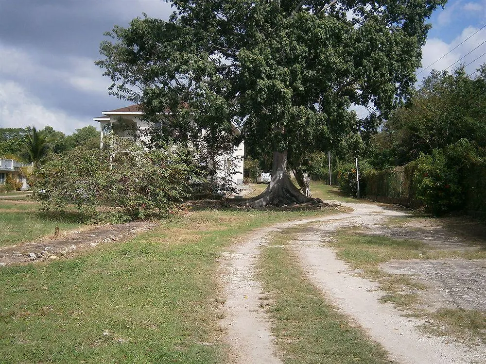 The Royal Hummingbird Resort Negril