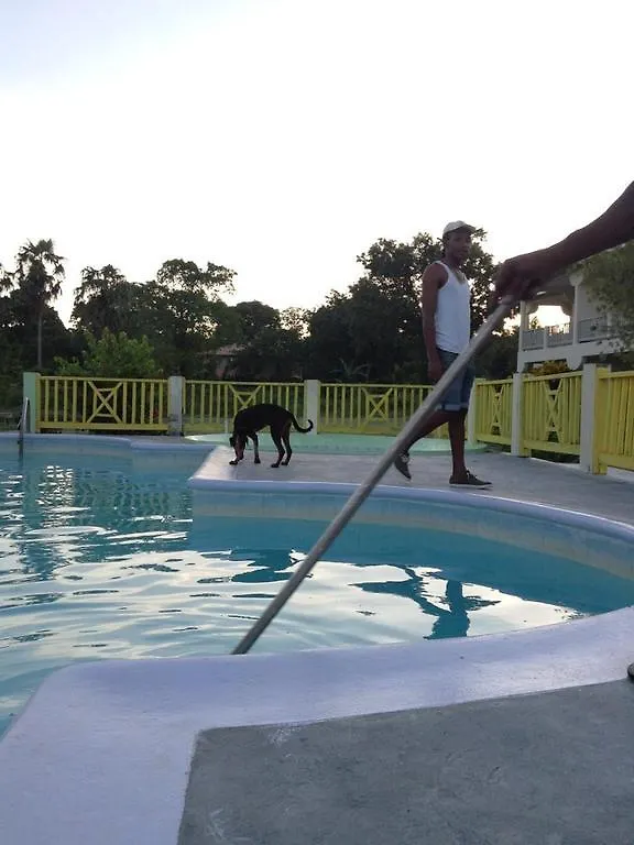 The Royal Hummingbird Resort Negril Hotel