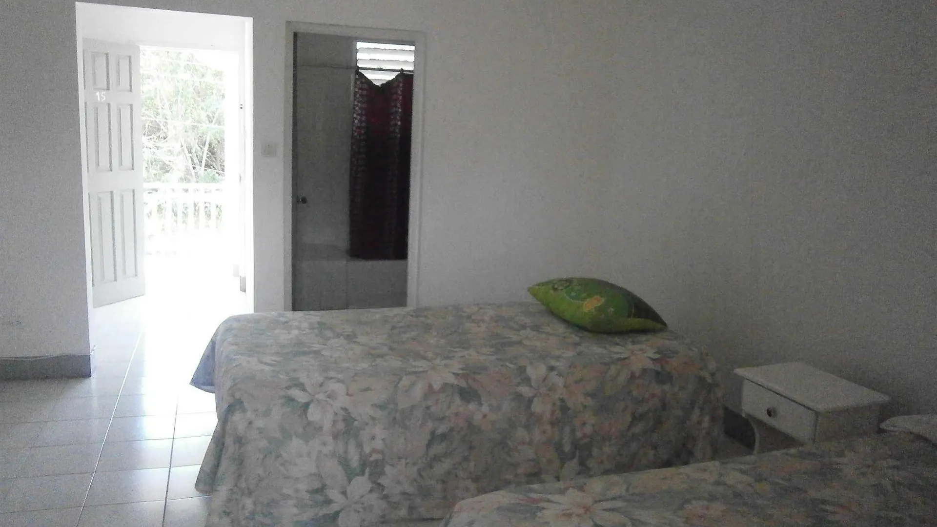 The Royal Hummingbird Resort Negril