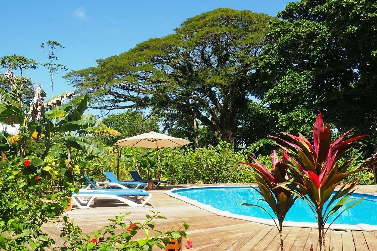 The Royal Hummingbird Resort Negril Hotel