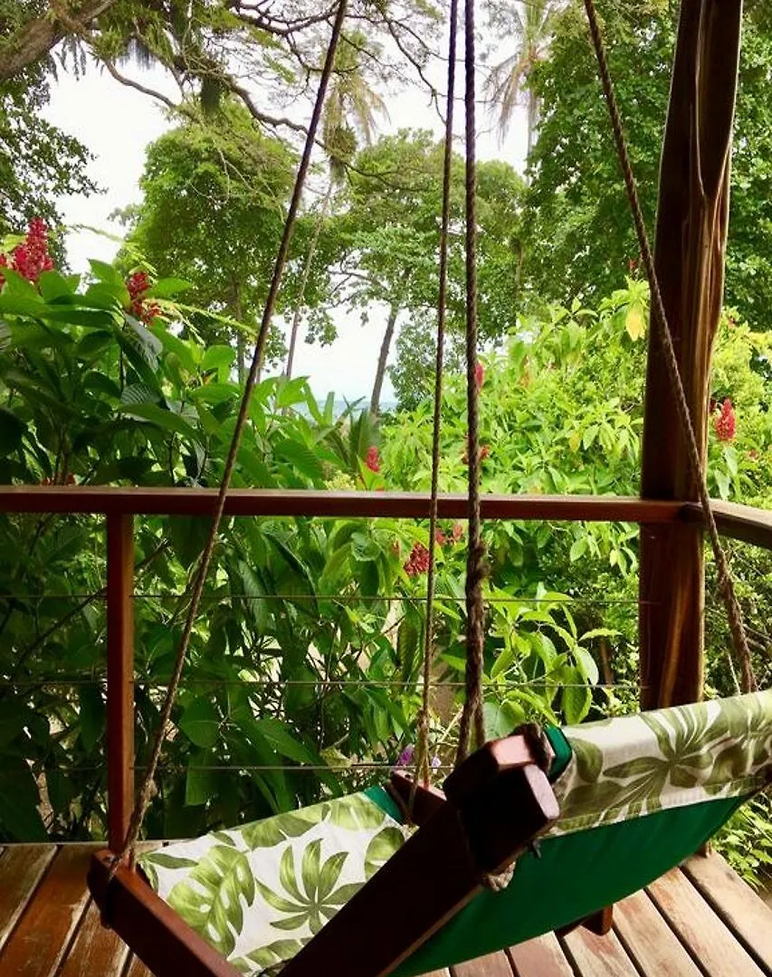 The Royal Hummingbird Resort Negril 3*,
