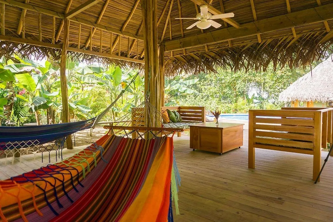The Royal Hummingbird Resort Negril Jamaica